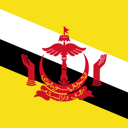 eSIM Brunei Darussalam