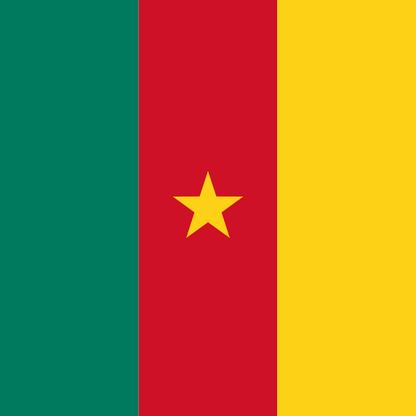 eSIM Cameroon